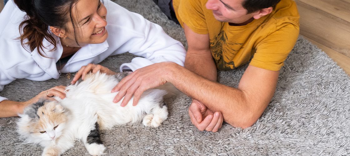 bahçeşehir halı yıkama servisi ücretsiz servis aracı ve site içi hizmet