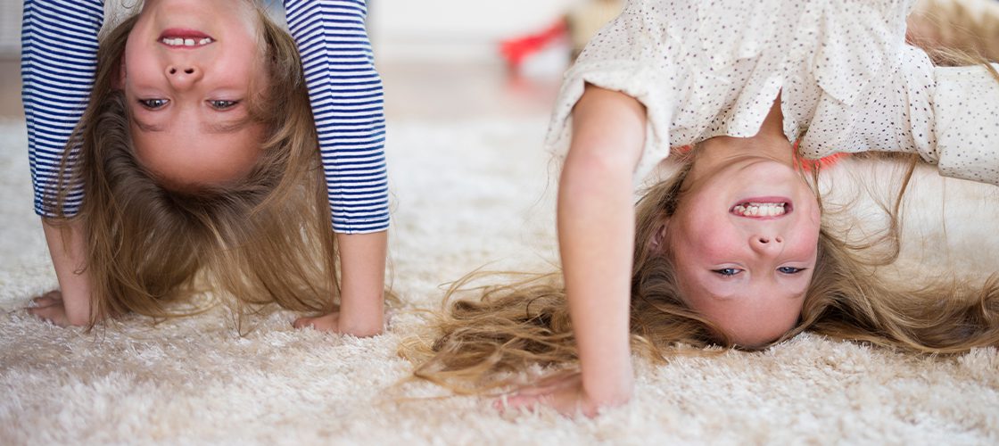 beylikdüzü halı yıkama fabrikası merkez tesis ve otomatik yıkama makinesi